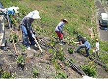 下水汚泥コンポスト資材を利用した荒廃地緑化試験（備前市久々井）