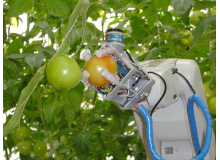 トマト収穫ロボット