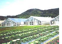 岡山農場