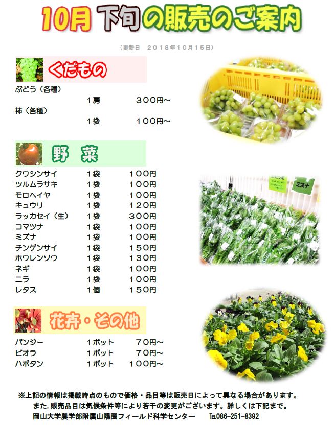 10月販売