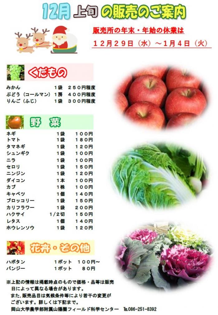 12月販売