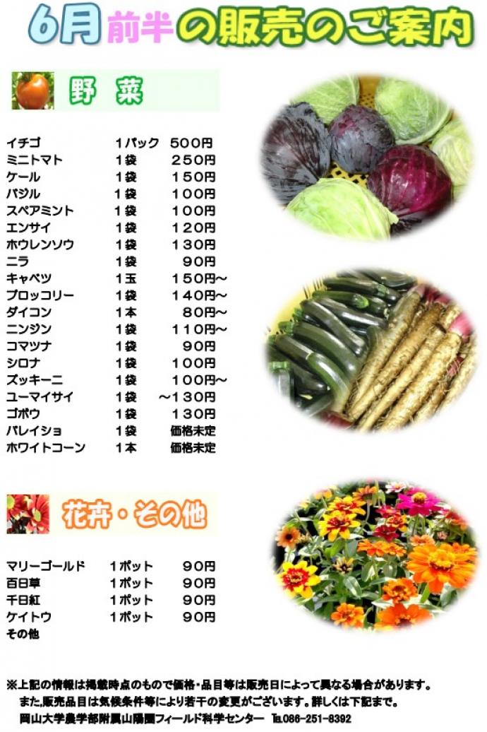 6月販売