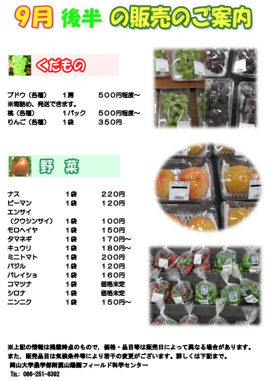 9月販売