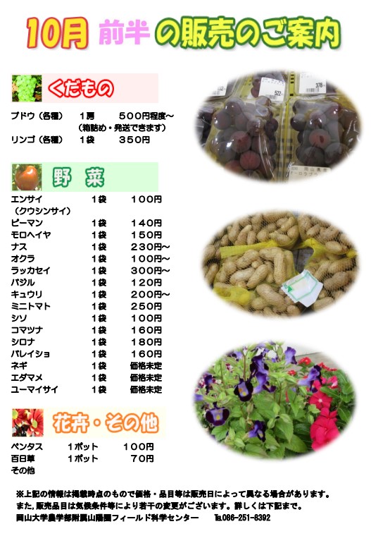 10月販売