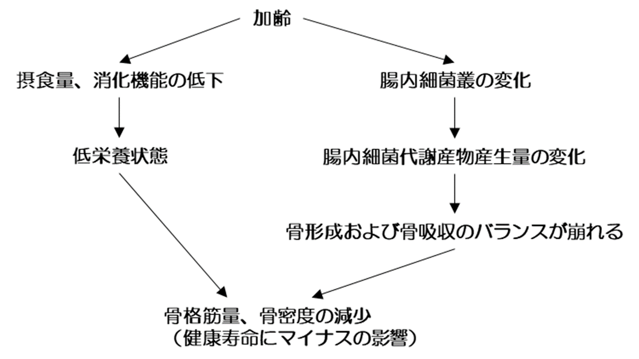tt3