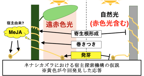 宿主探索機構