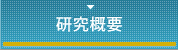 研究概要