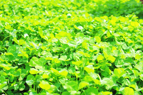 main_banner1