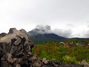 桜島の溶岩