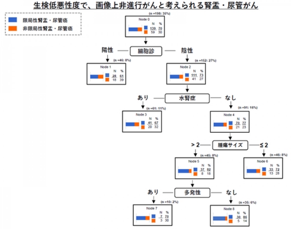 レーザー治療で透析回避！～腎盂がん・尿管がんを「腎臓を摘出せず」に治療～