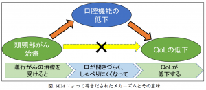 頭頸部がん治療と，口腔機能の低下，QoLとの関係を明らかに ～歯科受診はがんサバイバーの未来を明るくする！～