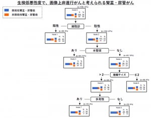 レーザー治療で透析回避！～腎盂がん・尿管がんを「腎臓を摘出せず」に治療～