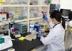 実際の研究の様子