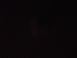 Without Light Image