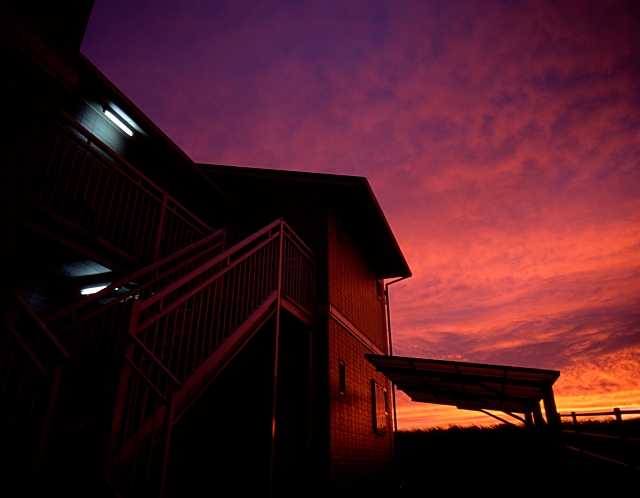 JyAM's Photography: Snapshots