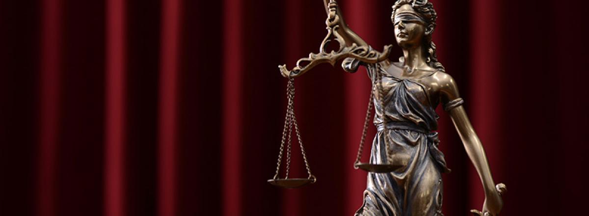 For Legal Mind and Political Judgment