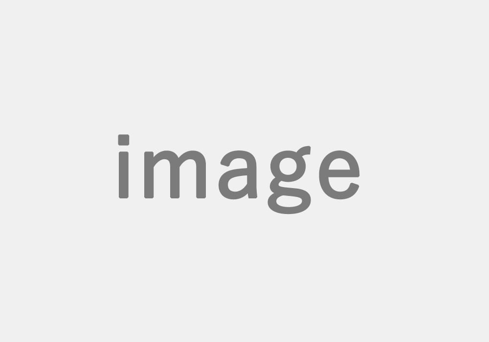 画像説明テキスト