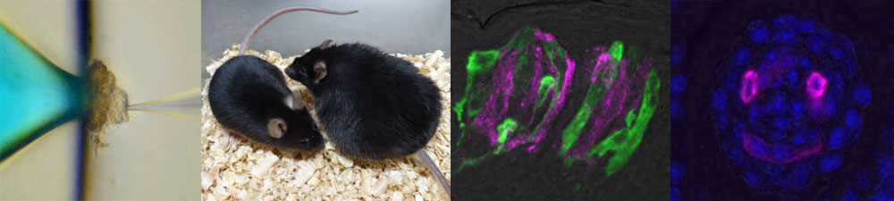 ���o����