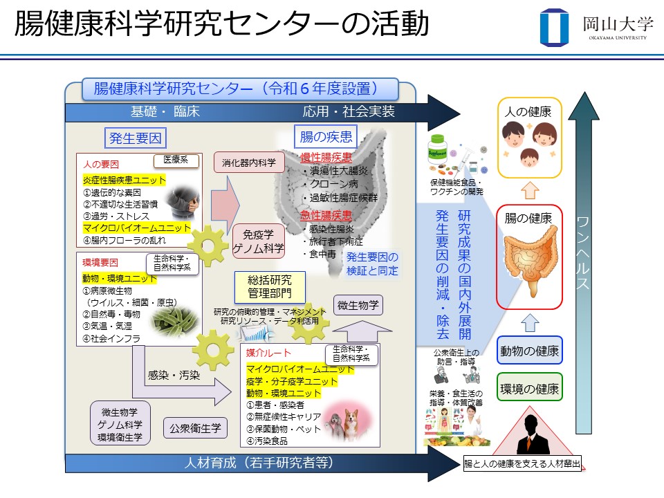 センターの活動