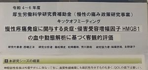 厚労科研（慢性の痛み政策研究事業）キックオフミーティング